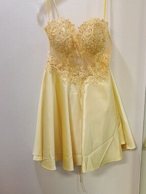 Delicate Yellow Lace Bodice Mini Dress